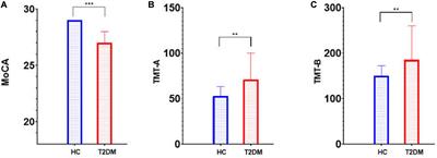 Increased Brain Iron Detection by Voxel-Based Quantitative Susceptibility Mapping in Type 2 Diabetes Mellitus Patients With an Executive Function Decline